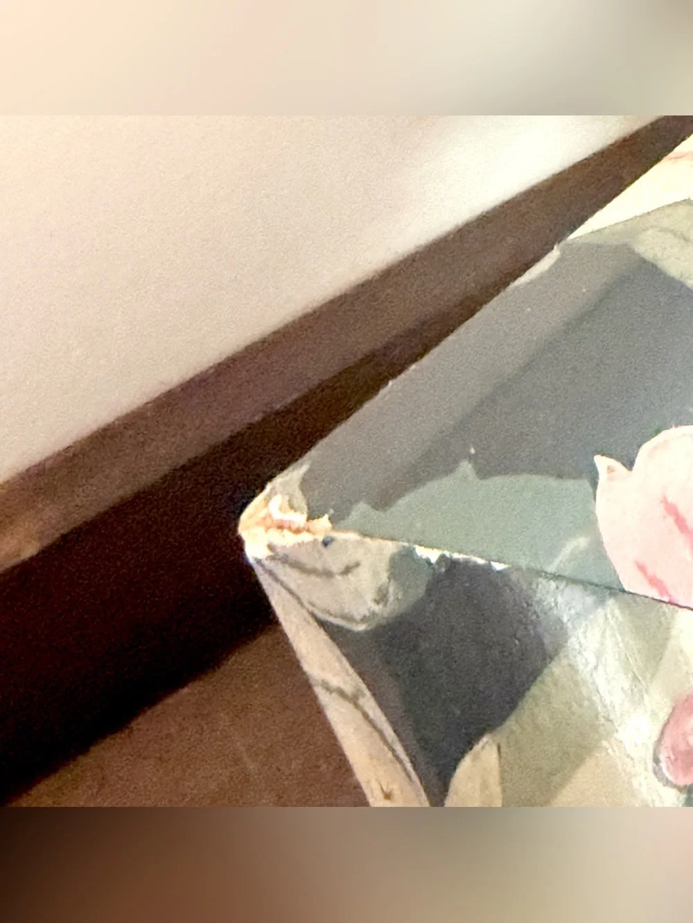Vintage Dark Cottagecore Moody Floral Mirror Rectangle Gold Trim Wall Hanging